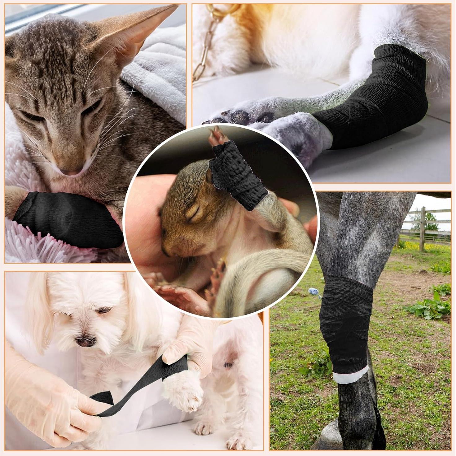 Venda Autoadhesiva Cohesiva BIRDDIE 18 Piezas 2.54/5.08/7.62 cm Negra