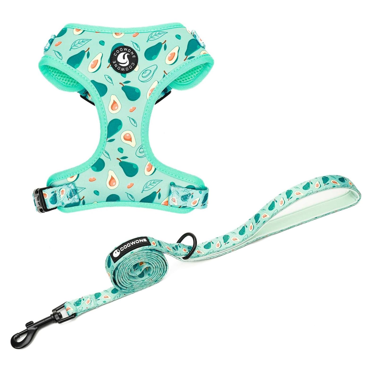 Conjunto Arnés y Correa Ajustable Coowone para Perro Mediano