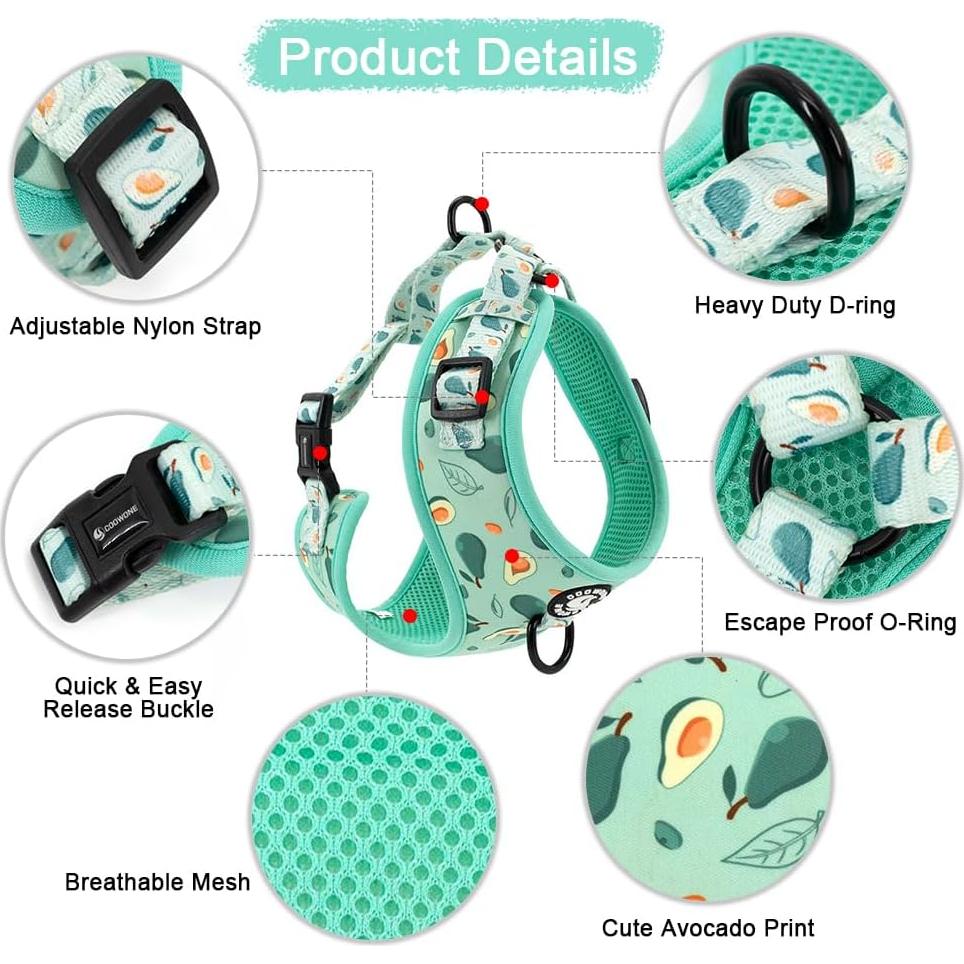 Conjunto Arnés y Correa Ajustable Coowone para Perro Mediano