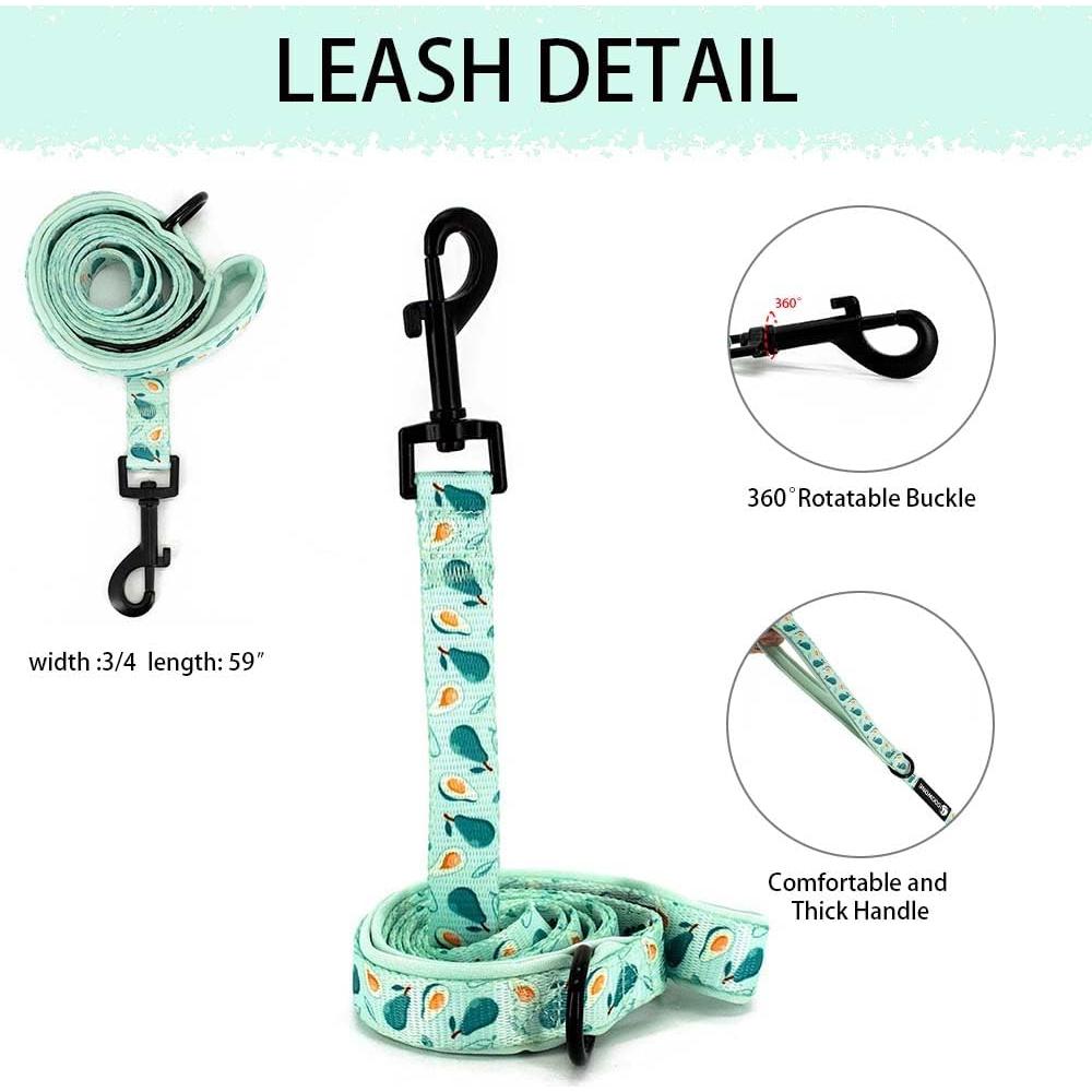 Conjunto Arnés y Correa Ajustable Coowone para Perro Mediano