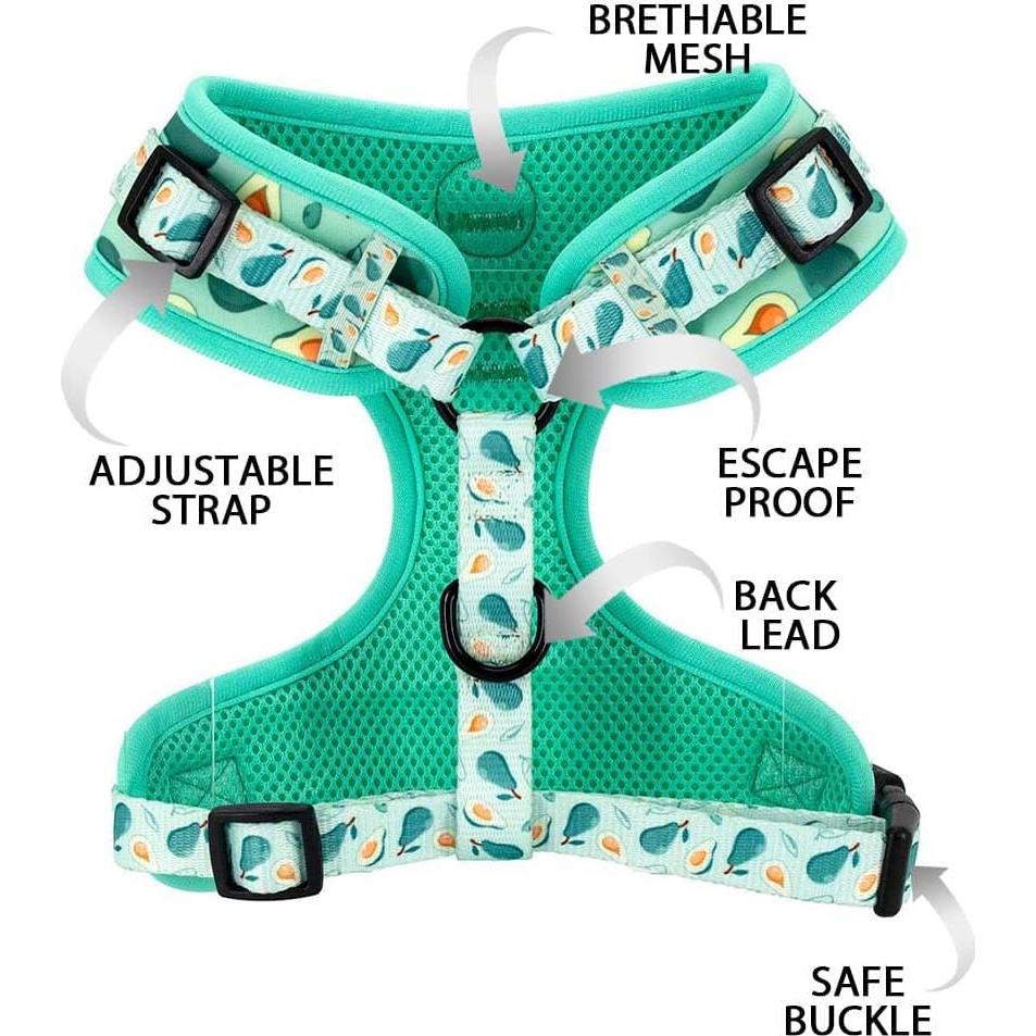 Conjunto Arnés y Correa Ajustable Coowone para Perro Mediano
