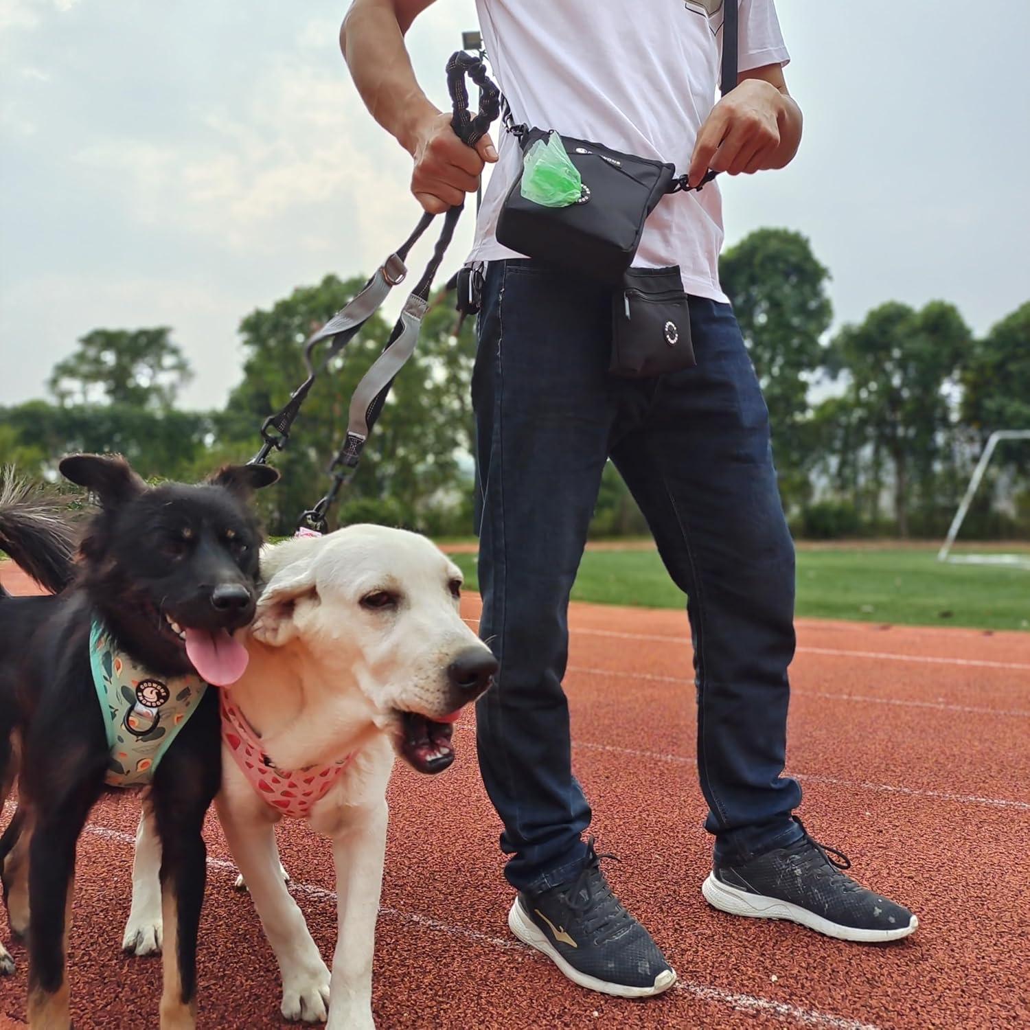 Conjunto Arnés y Correa Ajustable Coowone para Perro Mediano