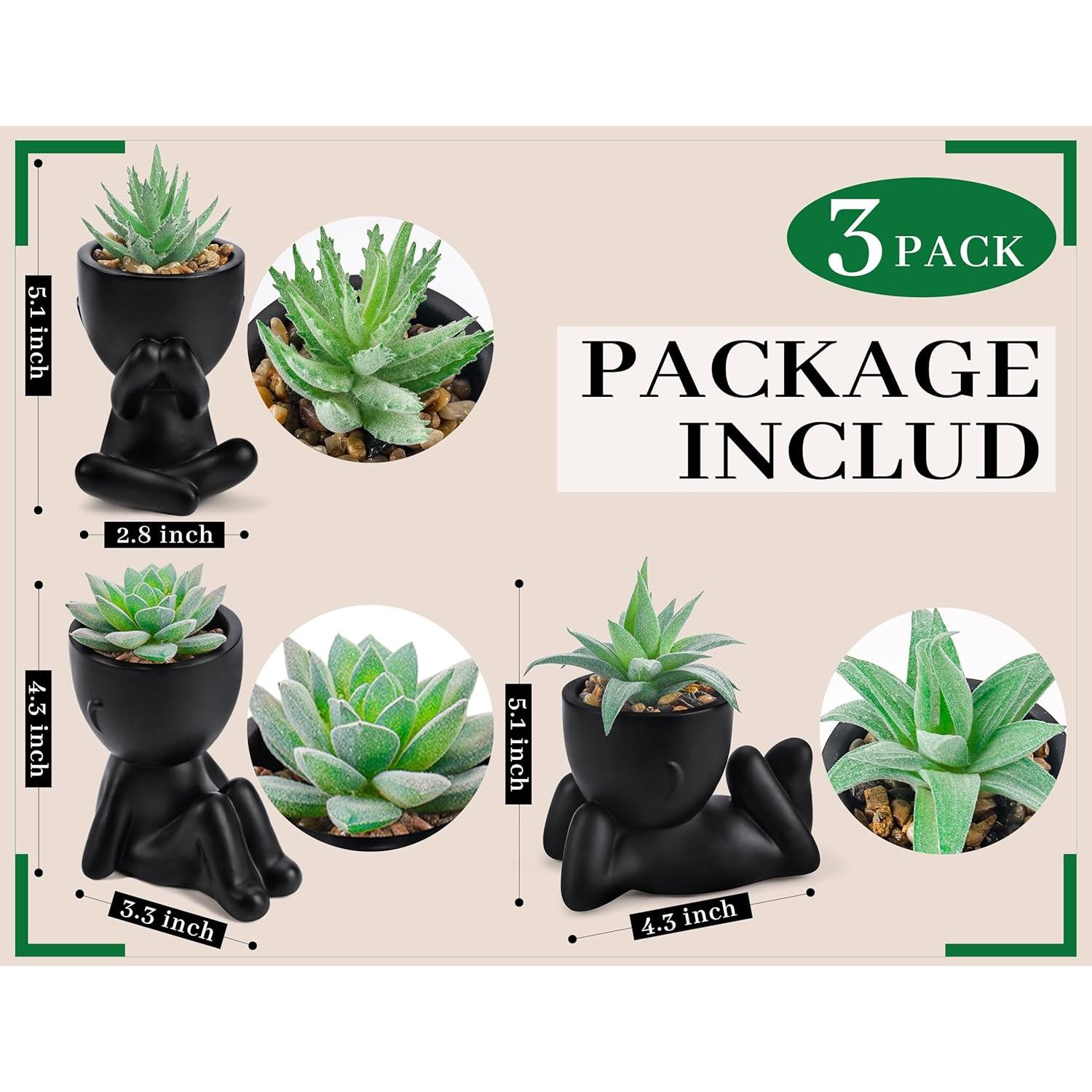 Plantas Falsas Suculentas Der Rose - 3 Paquetes Decorativos