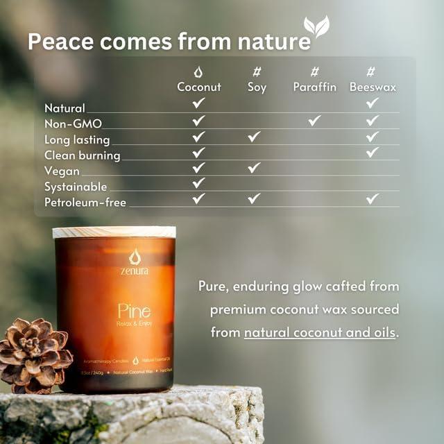 Vela Aromática de Citronela Zenura - 240 g Cera de Coco Natural