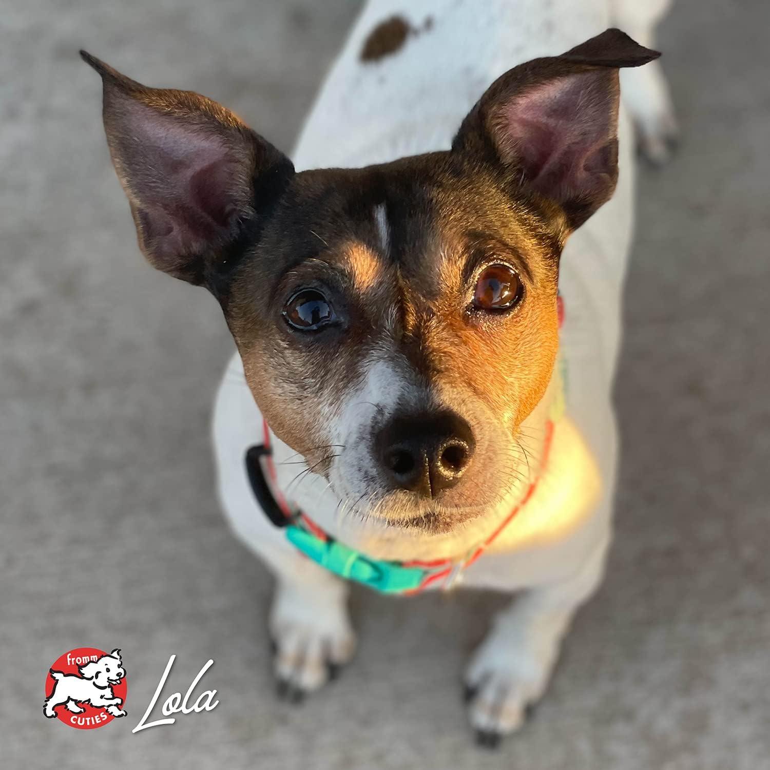 Comida Seca para Perros Fromm Frittata de Res 1.81 kg