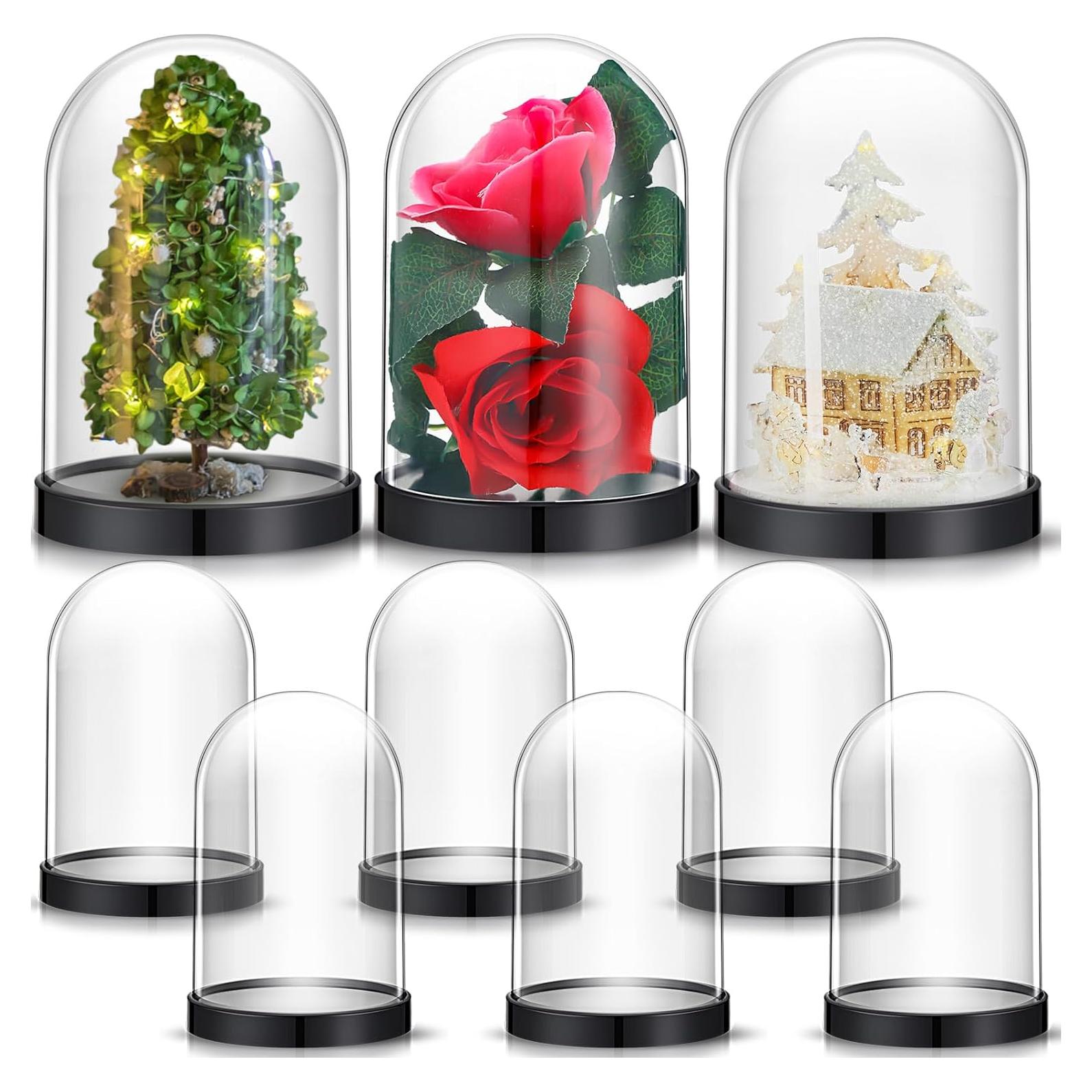 Caja de Exhibición de Plástico Zhengmy 2 Piezas Rosa 12.5x8.5cm