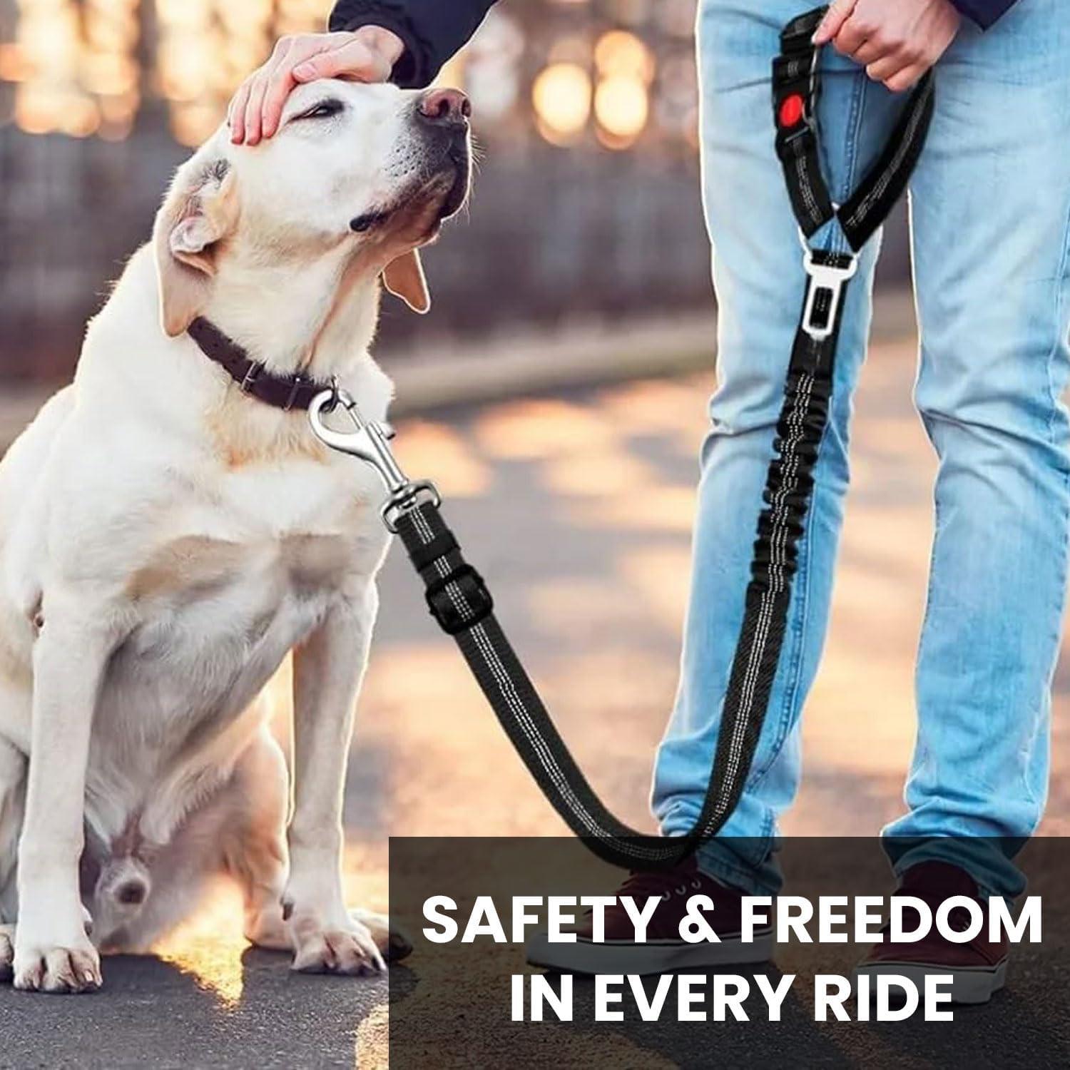 Cinturón de Seguridad para Perros Mejores Suministros - Negro