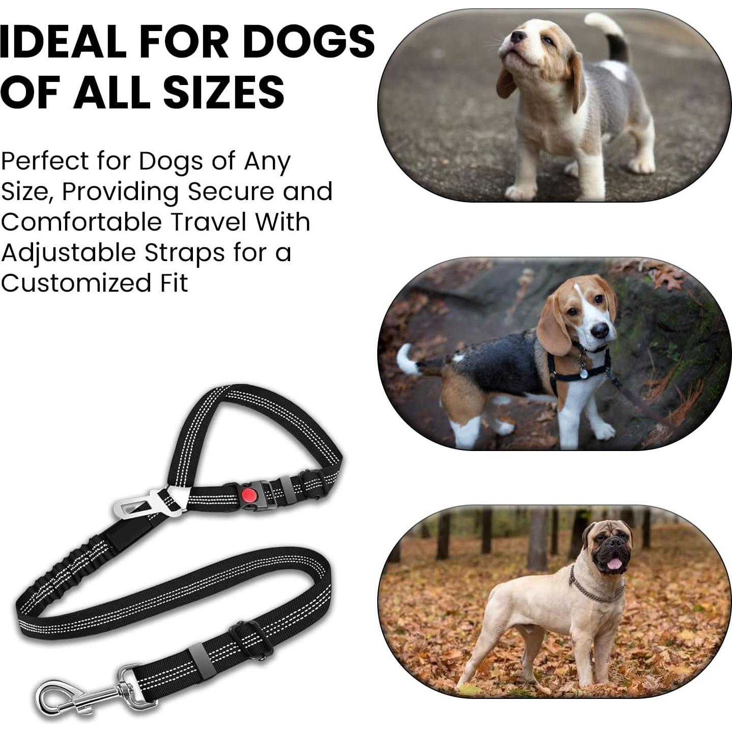 Cinturón de Seguridad para Perros Mejores Suministros - Negro