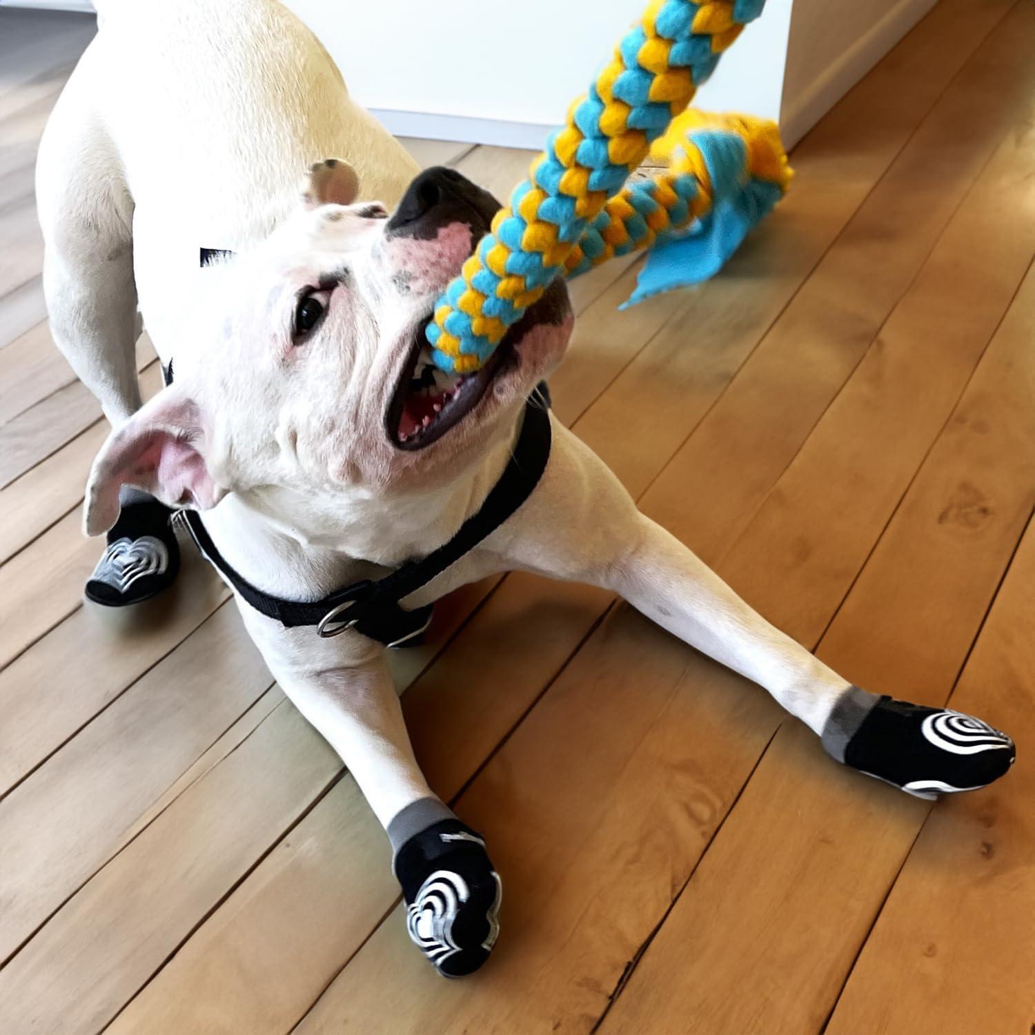 Calcetines antideslizantes para perros PawFlex Comfy Pawz - Grande