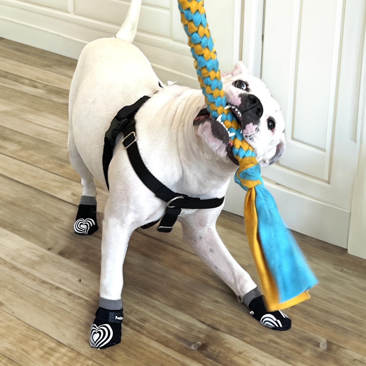 Calcetines antideslizantes para perros PawFlex Comfy Pawz - Grande