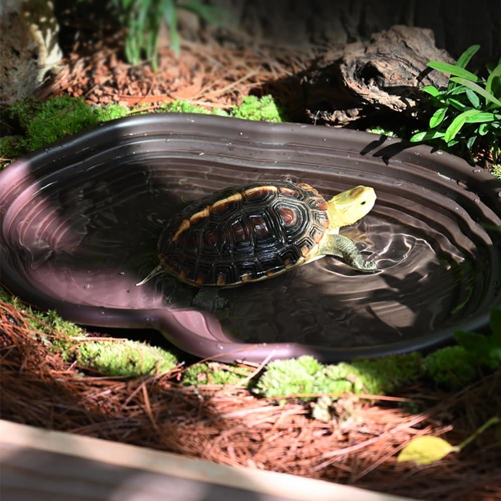 Tazón de Baño para Reptiles Flushbay 39x27cm Negro