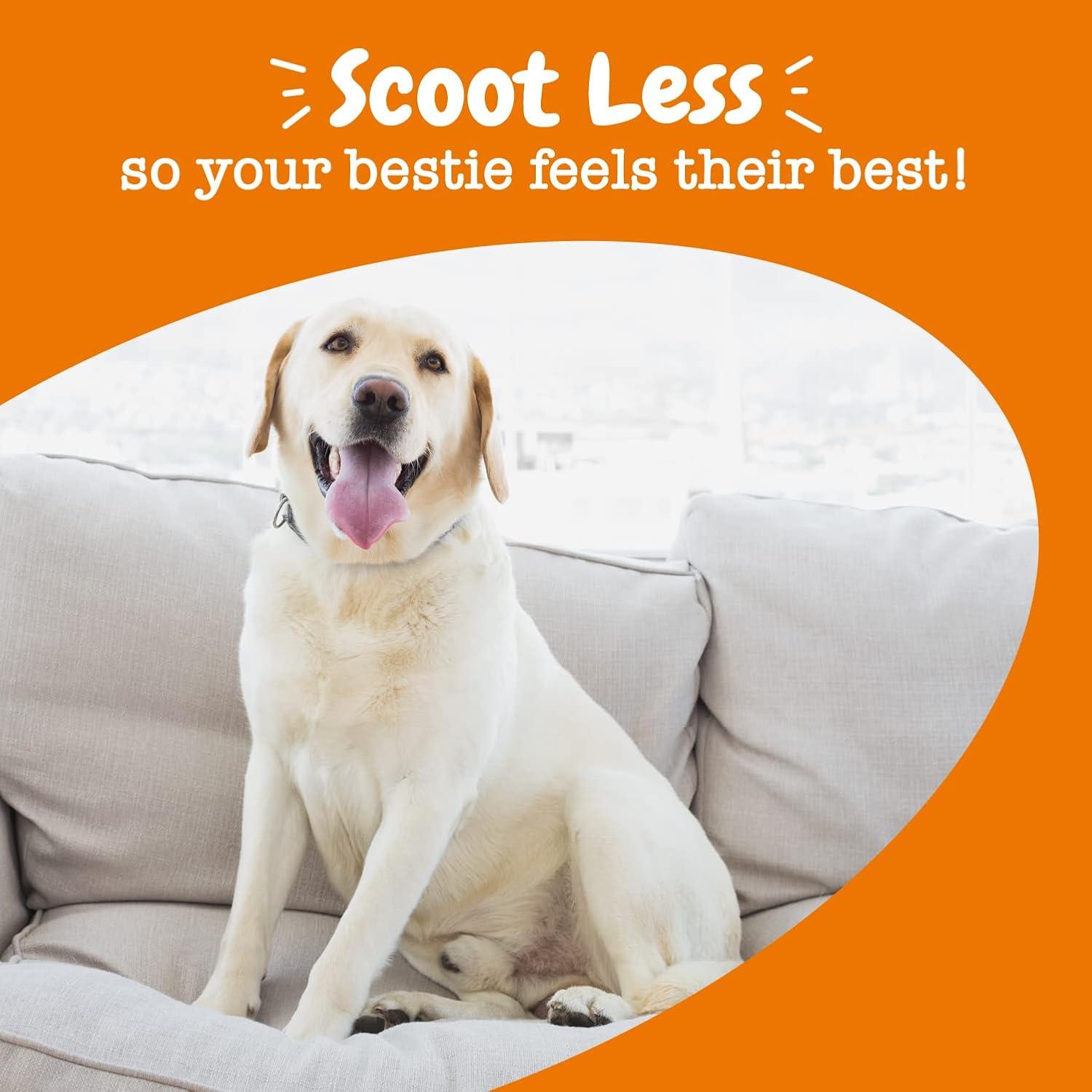 Bocados Scoot Away Zesty Paws para Perros - 90 Chews Digestivos
