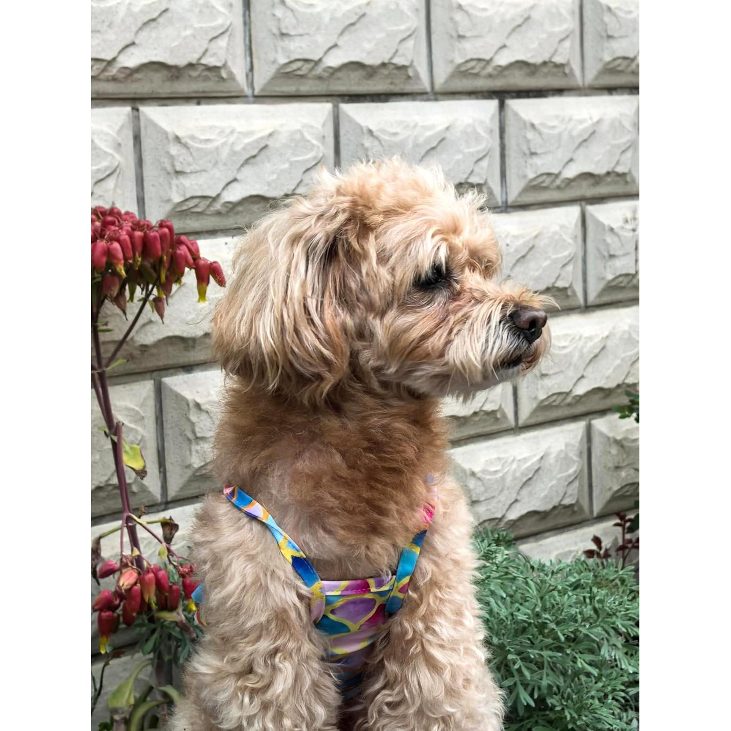 Bikini para Perros IMDOUBLEDOU Sirena Pequeño Extra Ropa Verano