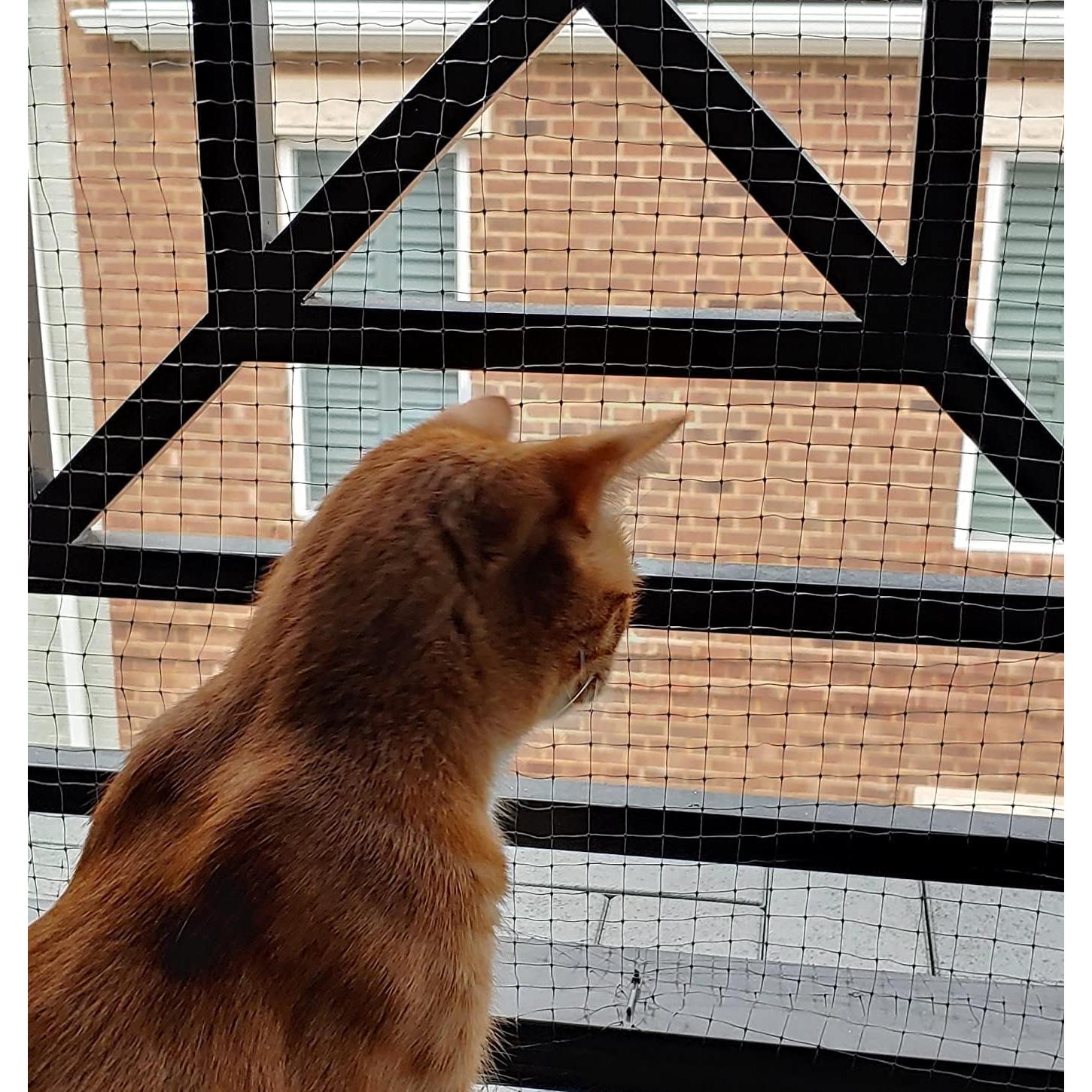 Red de Seguridad para Gatos AnExer 4x3 m Nylon Transparente