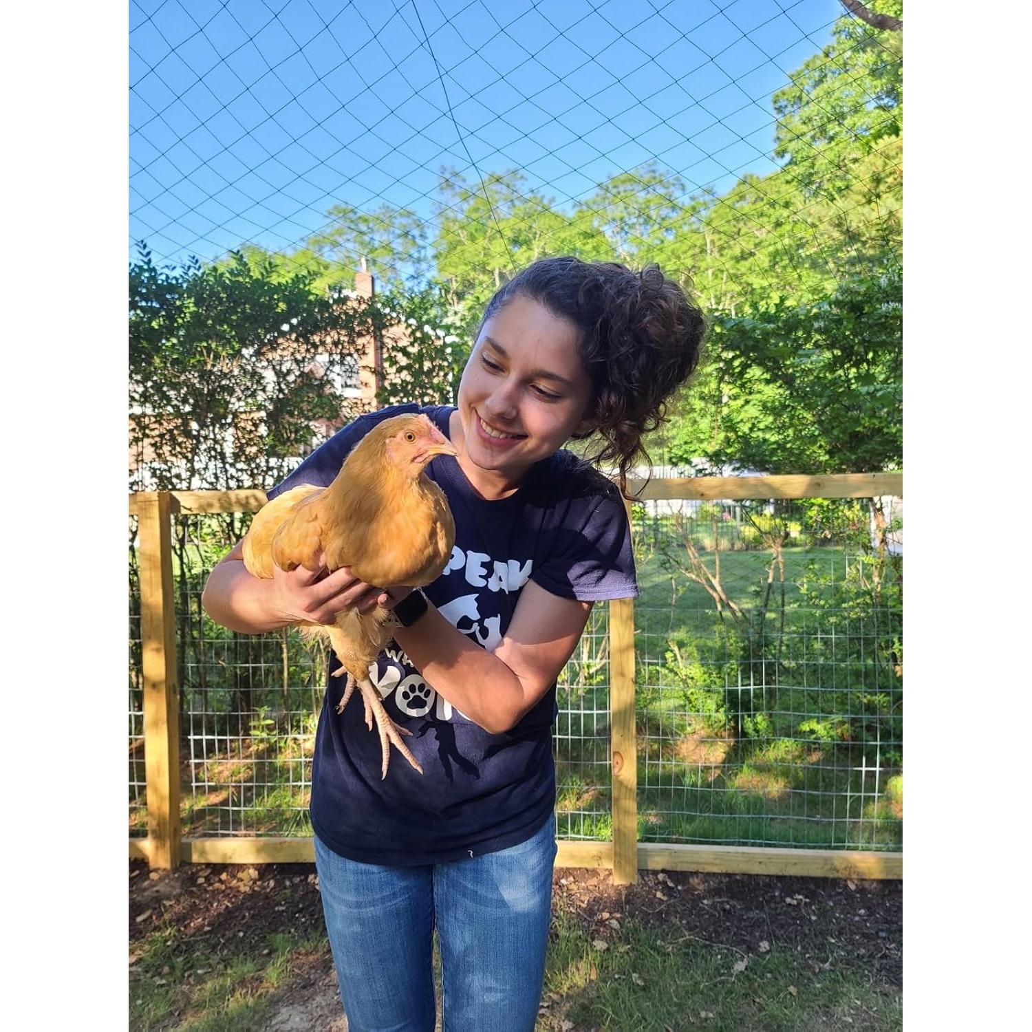 Red de Seguridad para Gatos AnExer 4x3 m Nylon Transparente