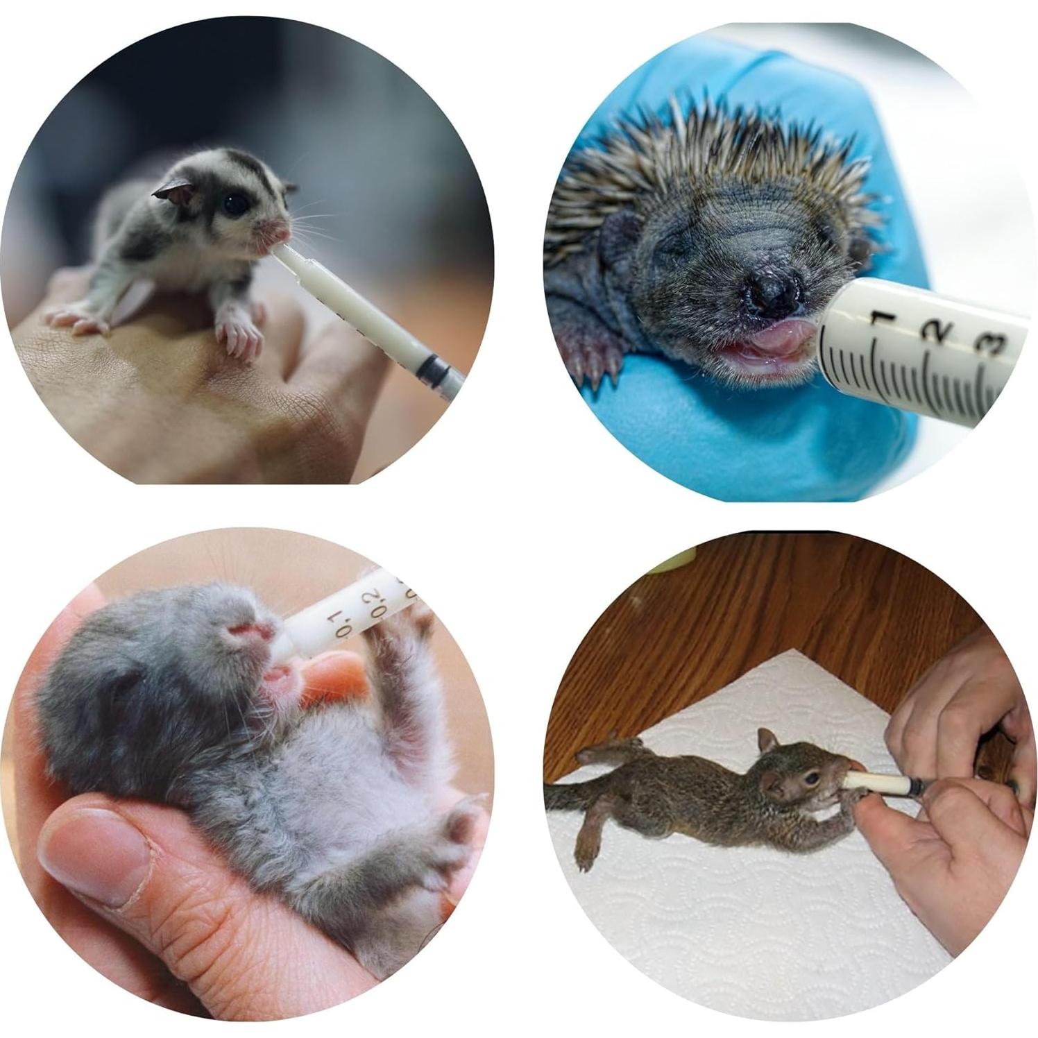 Sustituto de Leche para Ardillas Bebé Nutrición Exótica 4.25g