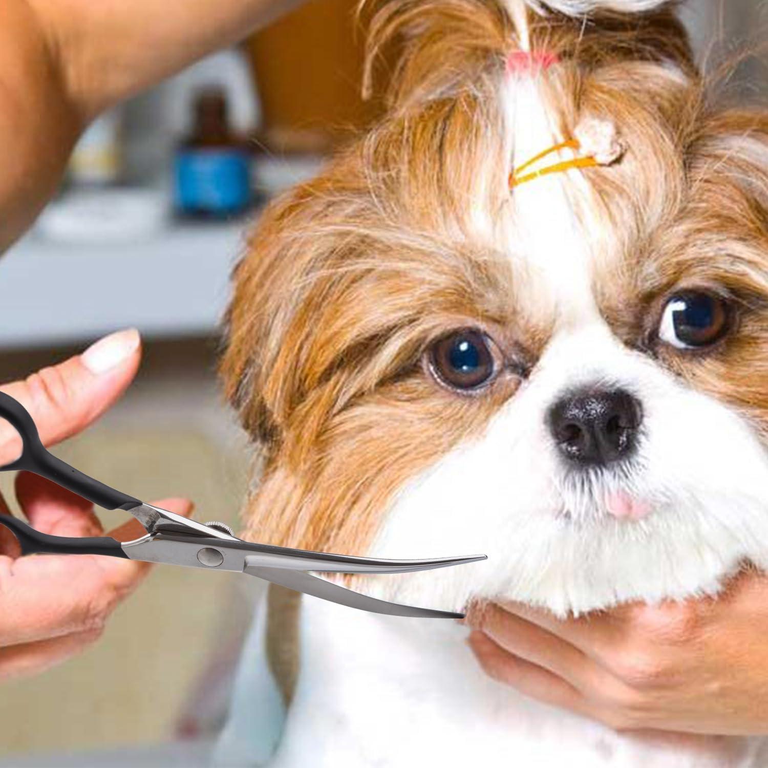 Tijeras Curvadas para Acicalar Mascotas Dream Reach 6"