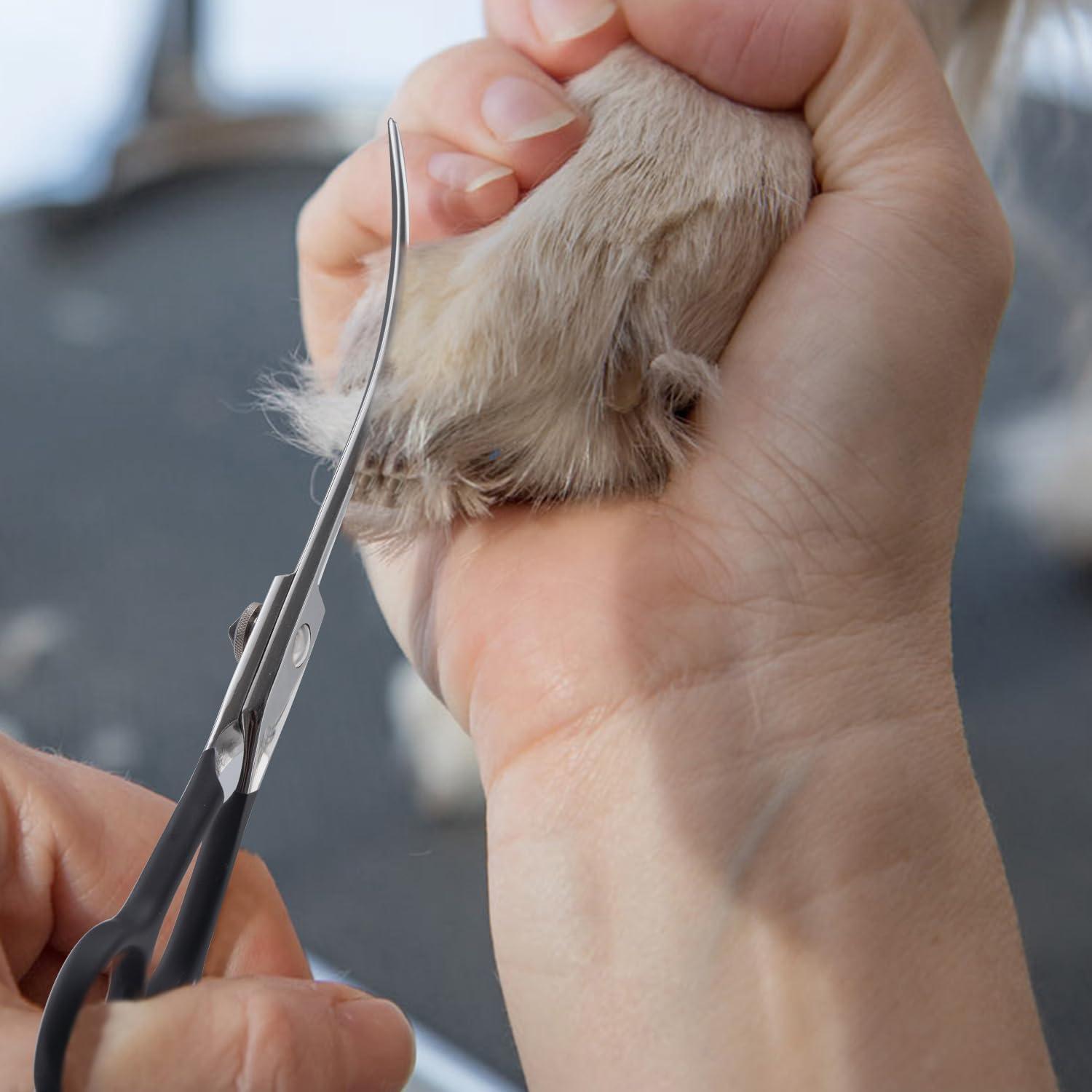 Tijeras Curvadas para Acicalar Mascotas Dream Reach 6"