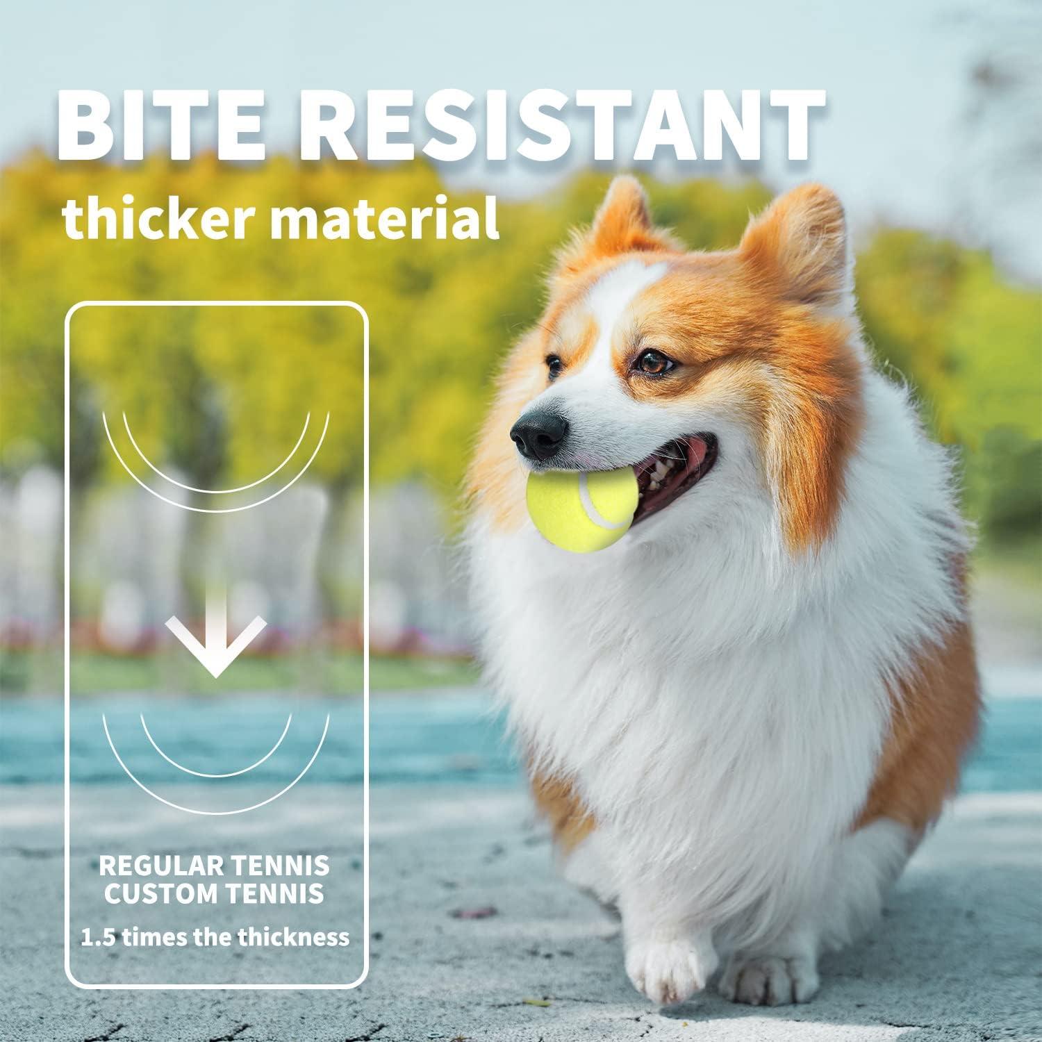 Pelotas de Tenis para Perros AFP 6.35 cm Paquete de 6