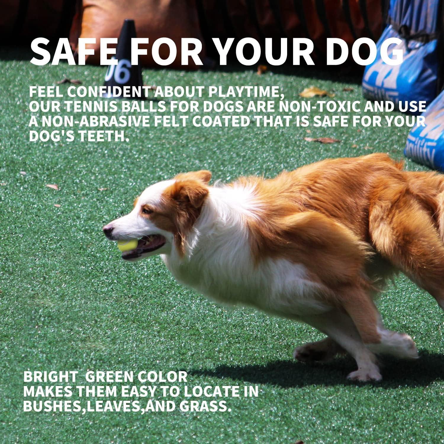 Pelotas de Tenis para Perros AFP 6.35 cm Paquete de 6