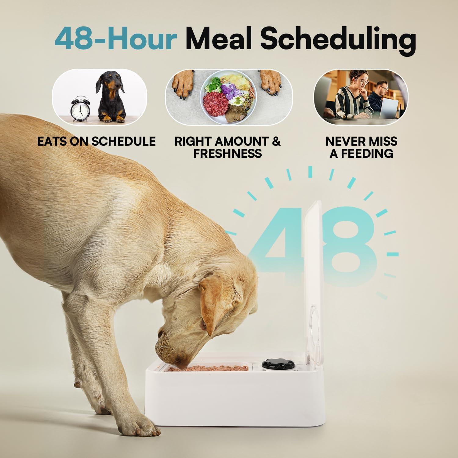 Alimentador Automático para Perros All For Paws - 1 Comida