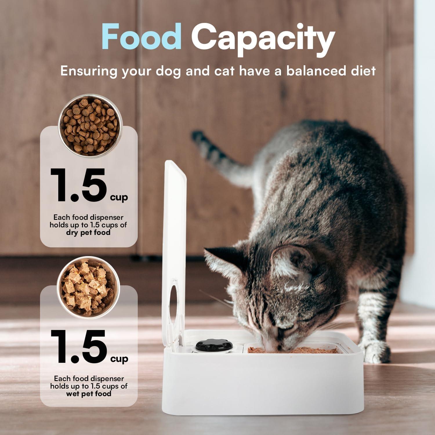 Alimentador Automático para Perros All For Paws - 1 Comida