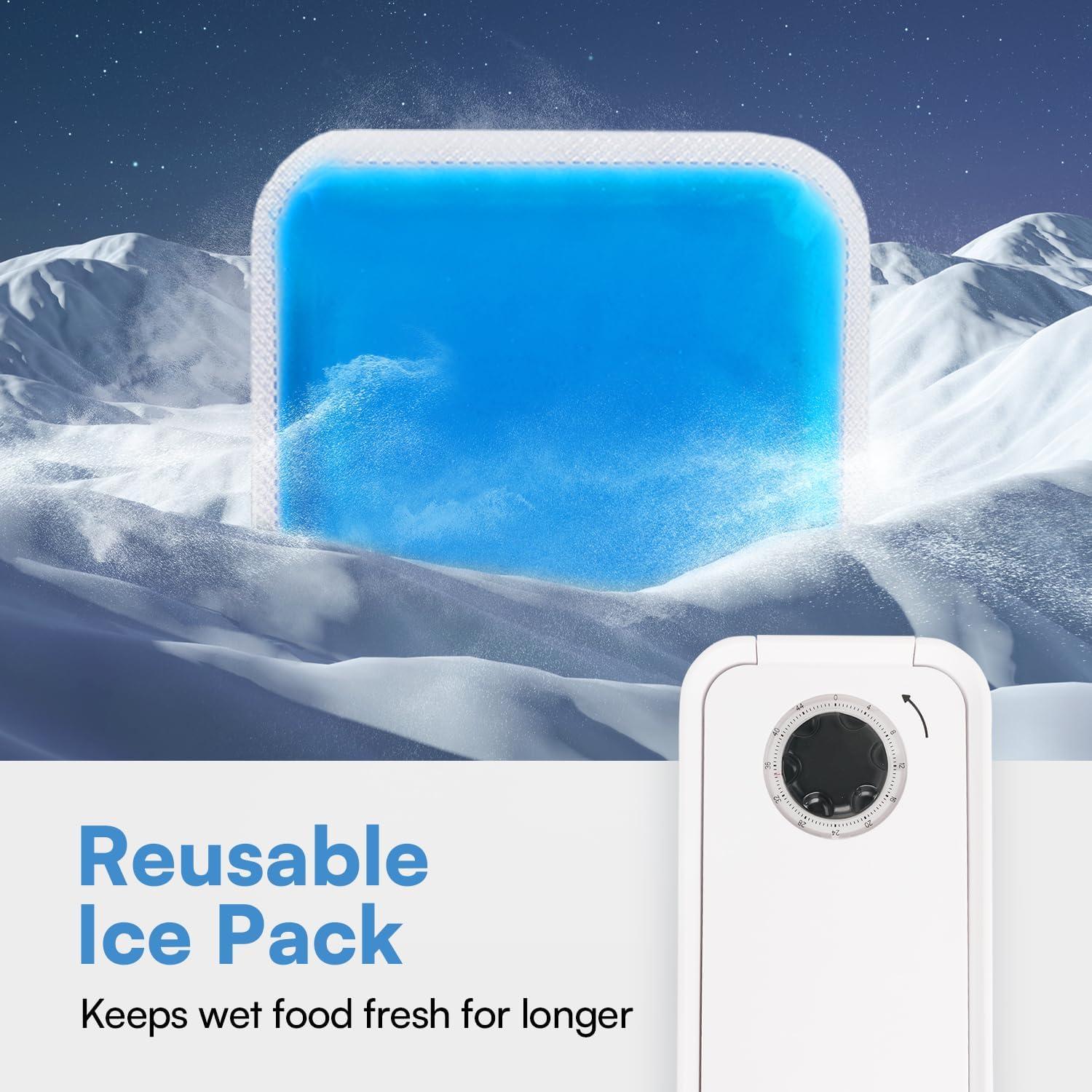 Alimentador Automático para Perros All For Paws - 1 Comida