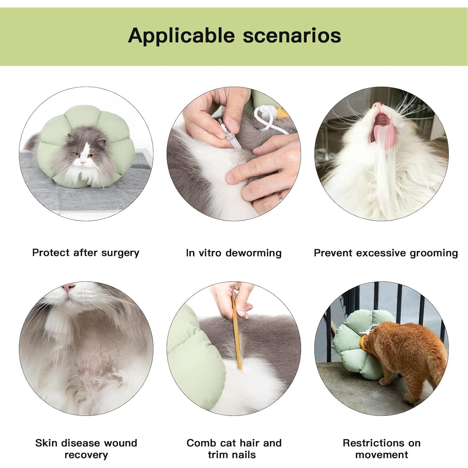 Collar Cono para Gato HiDREAM S Flor Verde Impermeable