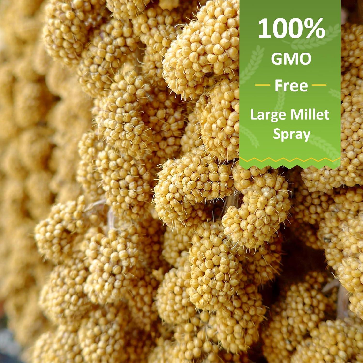 Spray de Mijo para Aves HATORTOP 2kg - Natural y Sin OGM