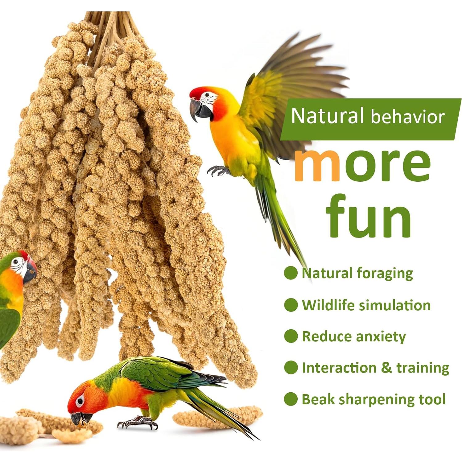 Spray de Mijo para Aves HATORTOP 2kg - Natural y Sin OGM