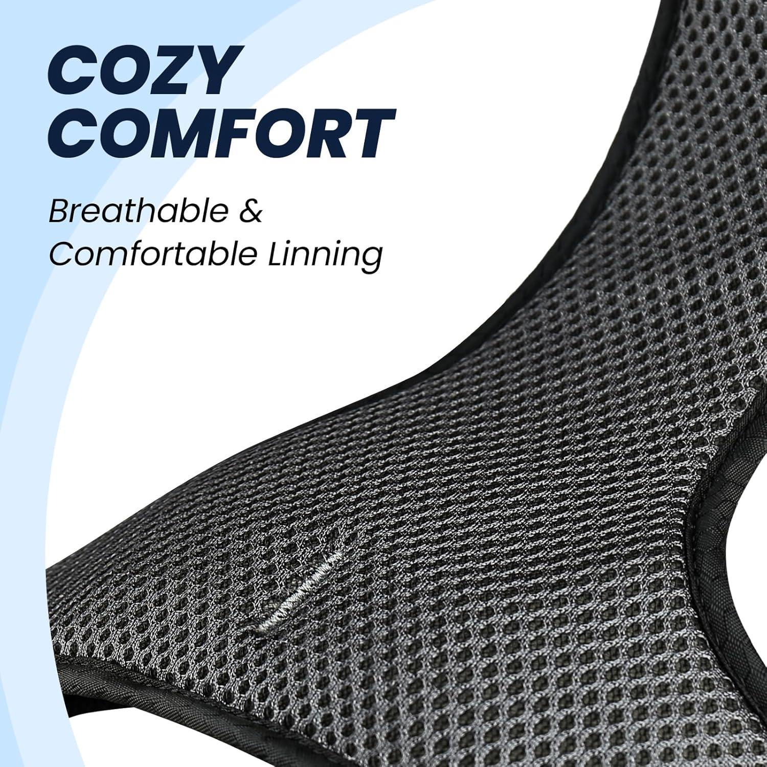 Arnés para Perros VIVAGLORY Easewalk Antitirones XS Negro