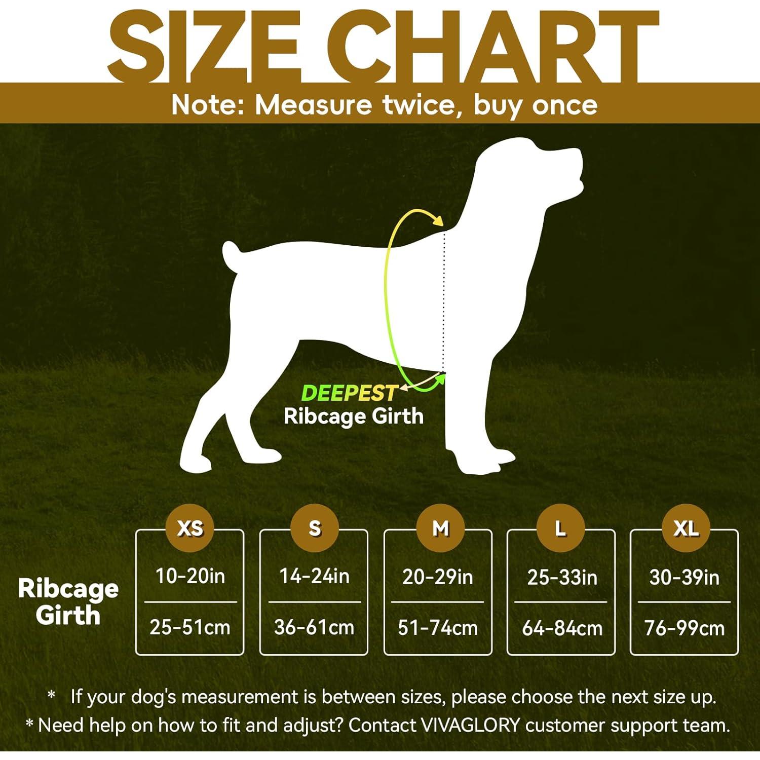 Arnés para Perros VIVAGLORY Easewalk Antitirones XS Negro