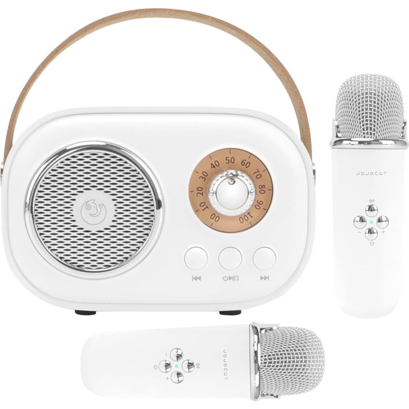 Mini Máquina de Karaoke Aresrora C20 Plus con 2 Micrófonos