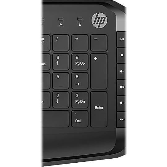 HP Pavilion Wired Keyboard and Mouse 200 (Black) - USB-A Plug-and-Play - Full-Sized Keyboard with Numeric Keypad, Enhanced F1-F12 Keys, & 12 Hotkeys - 1600 DPI Mouse - Windows Compatible (9DF28AA#ABL)