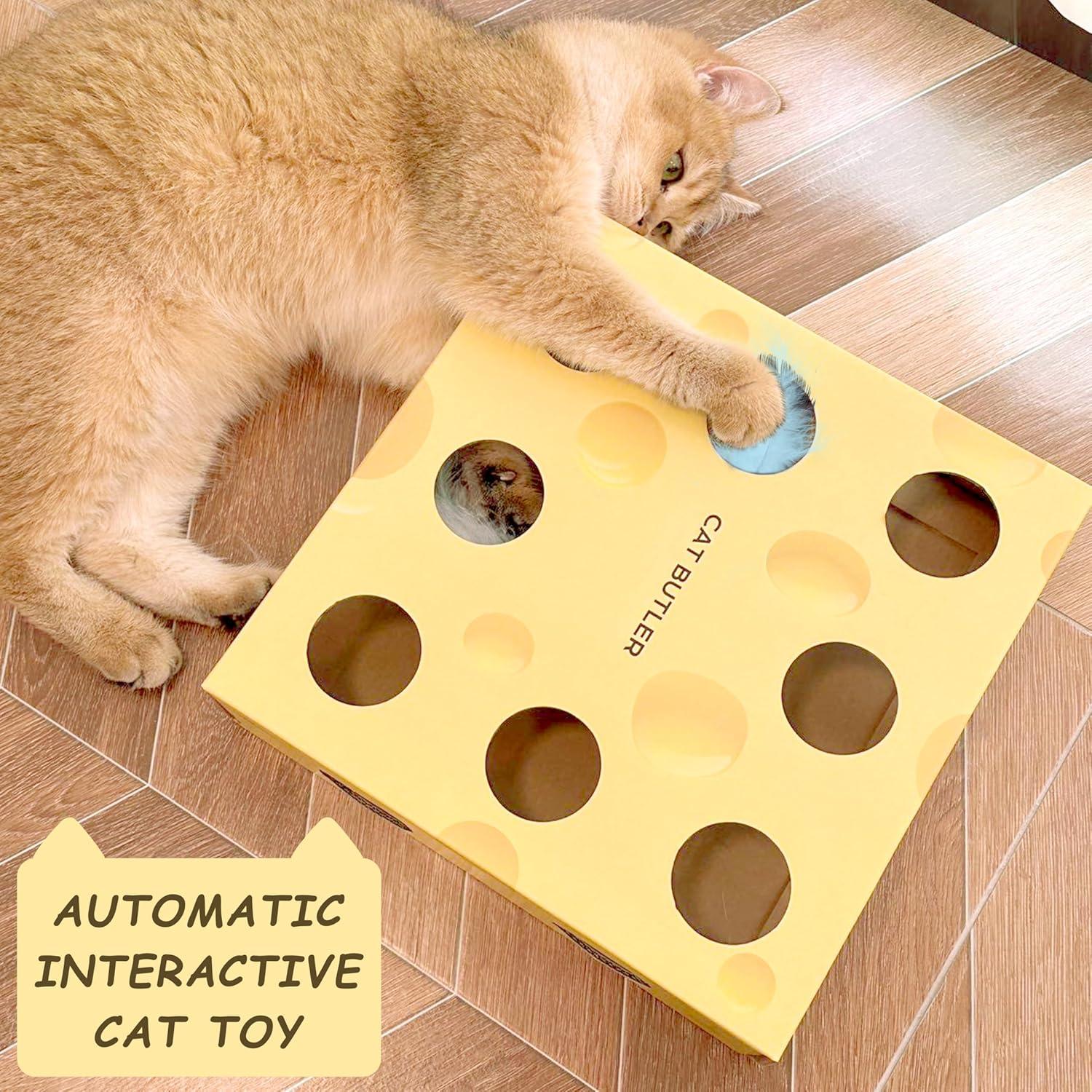 Juguete Interactivo para Gatos ZALBYUY con Plumas y Laberinto