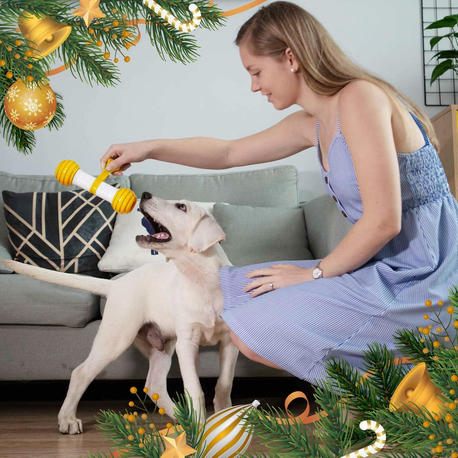 Juguete Interactivo para Perros PETGEEK Hueso Automático USB