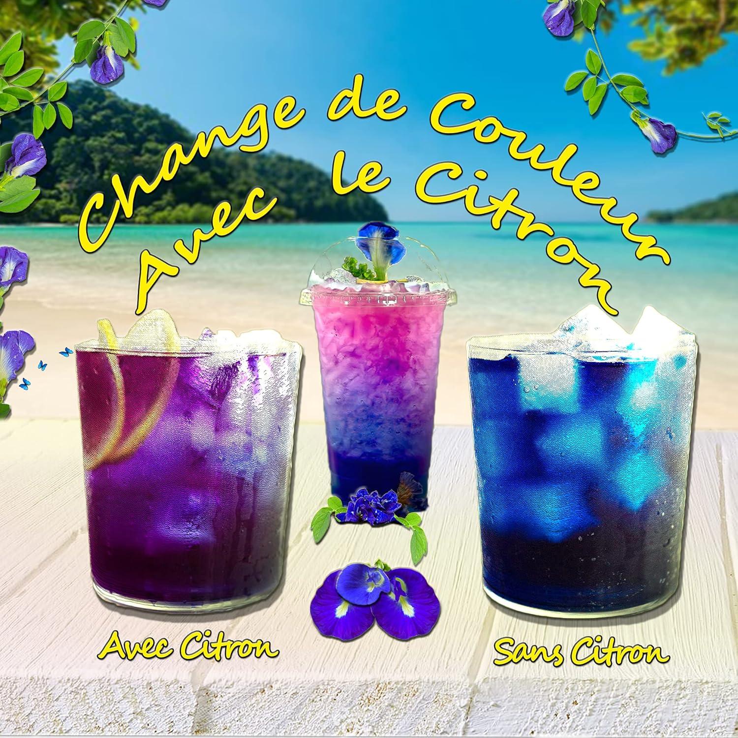 Té de Guisante Mariposa OkO-OkO 99.22g - Infusión Natural Azul