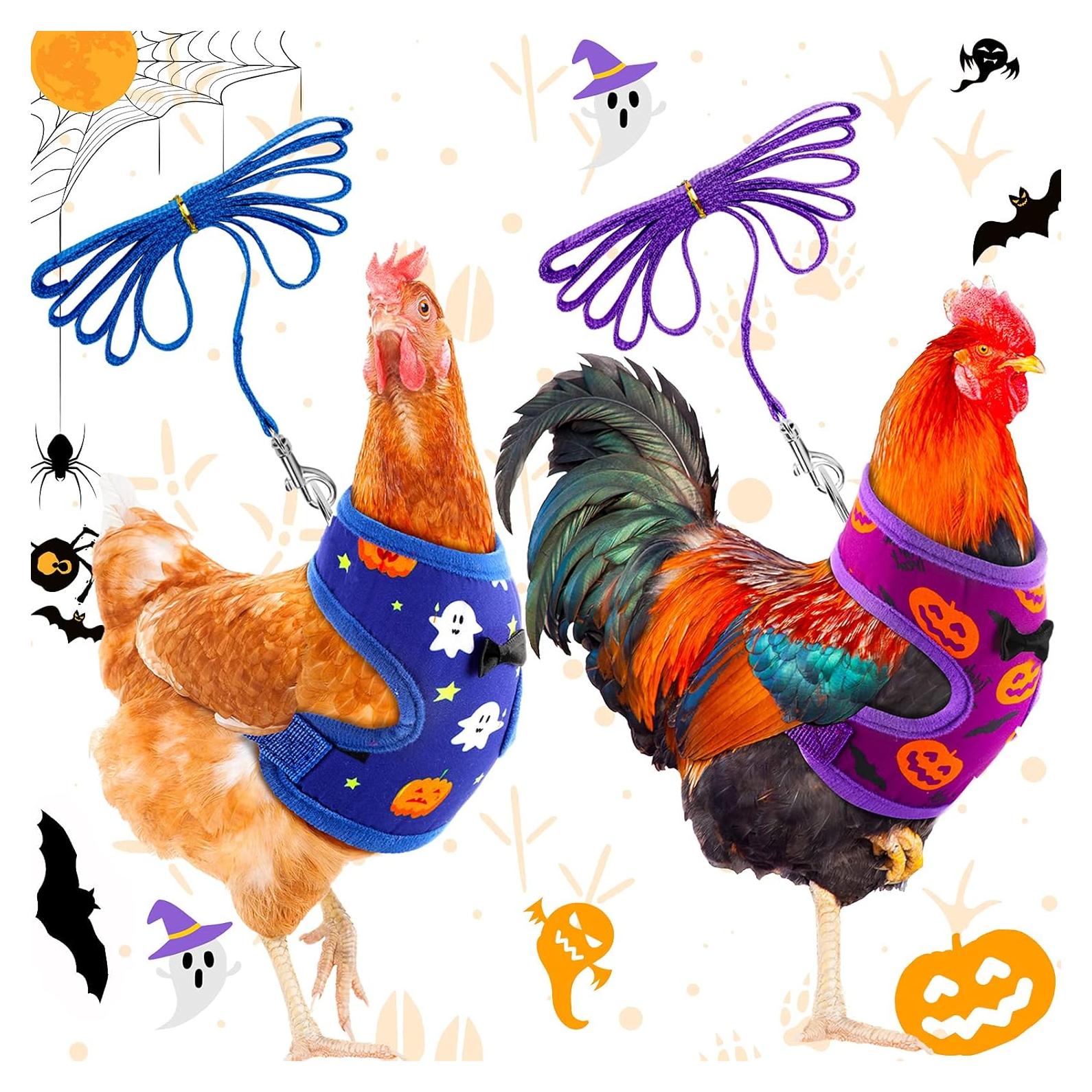 Arnés y Correa Ajustable Frienda para Gallinas - Fantasma y Calabaza