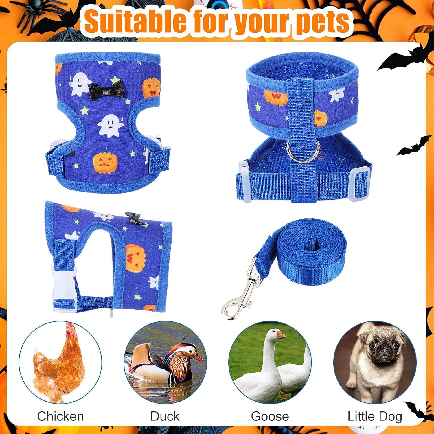 Arnés y Correa Ajustable Frienda para Gallinas - Fantasma y Calabaza