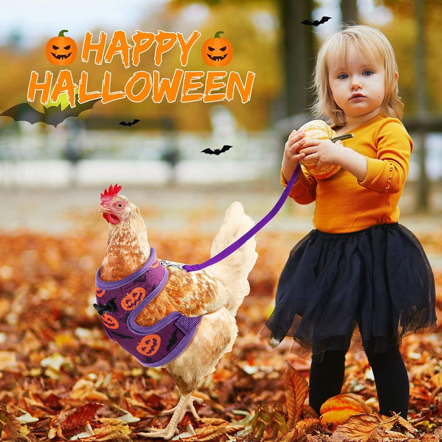 Arnés y Correa Ajustable Frienda para Gallinas - Fantasma y Calabaza