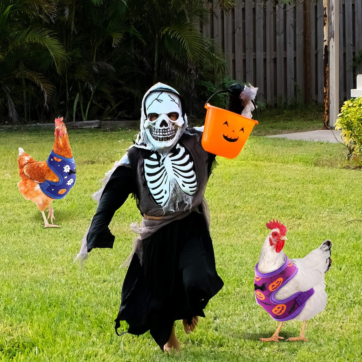 Arnés y Correa Ajustable Frienda para Gallinas - Fantasma y Calabaza