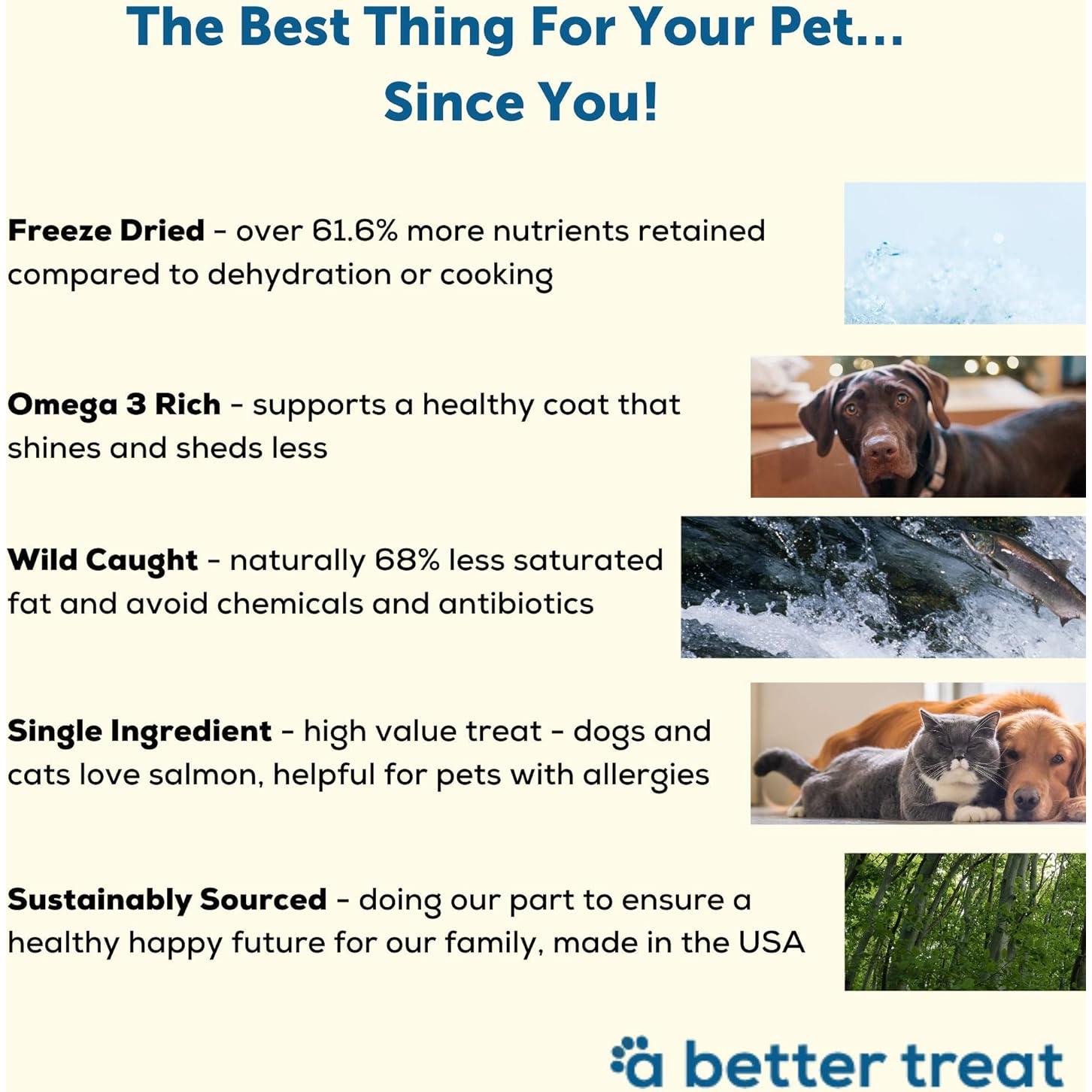 Golosinas de Salmón Deshidratadas al Vacío Un Mejor Tratamiento 85g