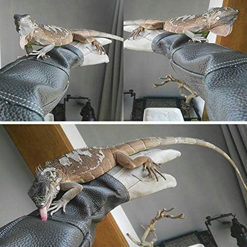 Guantes Impermeables YBB para Manejo de Animales 60 cm