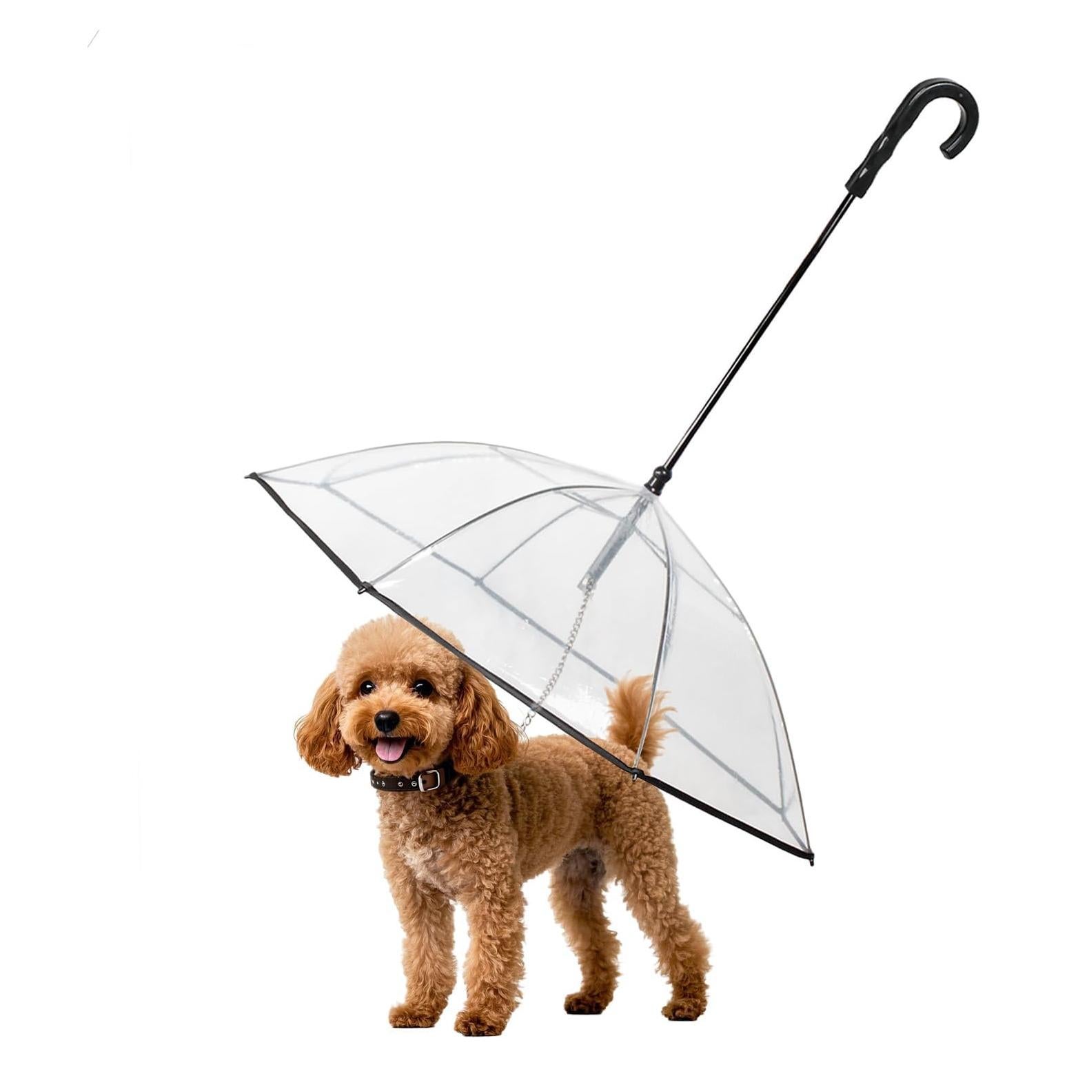 Paraguas Transparente para Perros Pequeños Namsan 73.66 cm