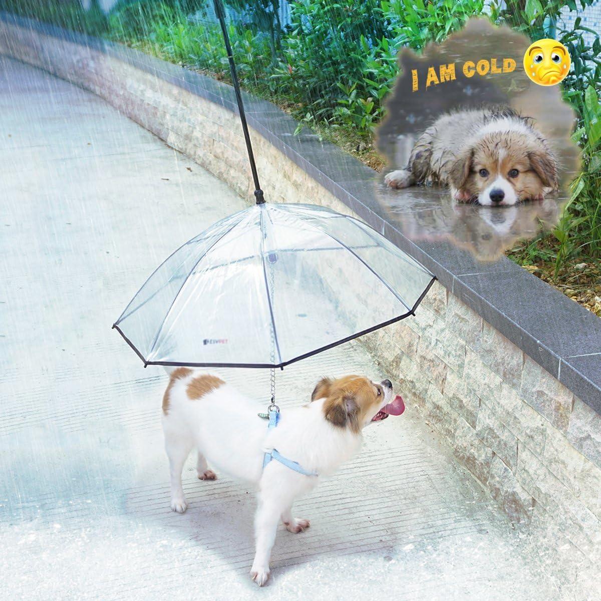 Paraguas Transparente para Perros Pequeños Namsan 73.66 cm