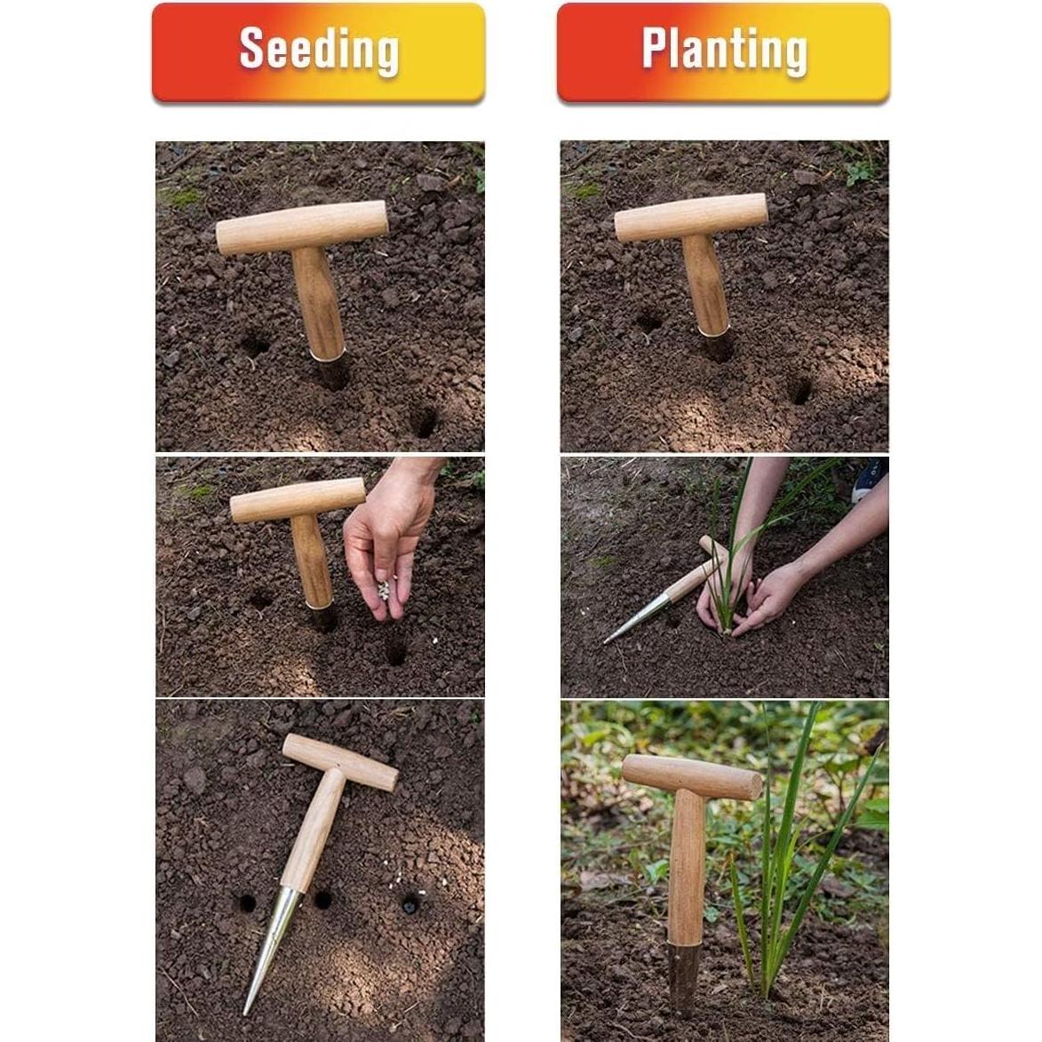 Juego de Herramientas de Jardín Gardtech - 3 Piezas de Acero Inoxidable y Madera