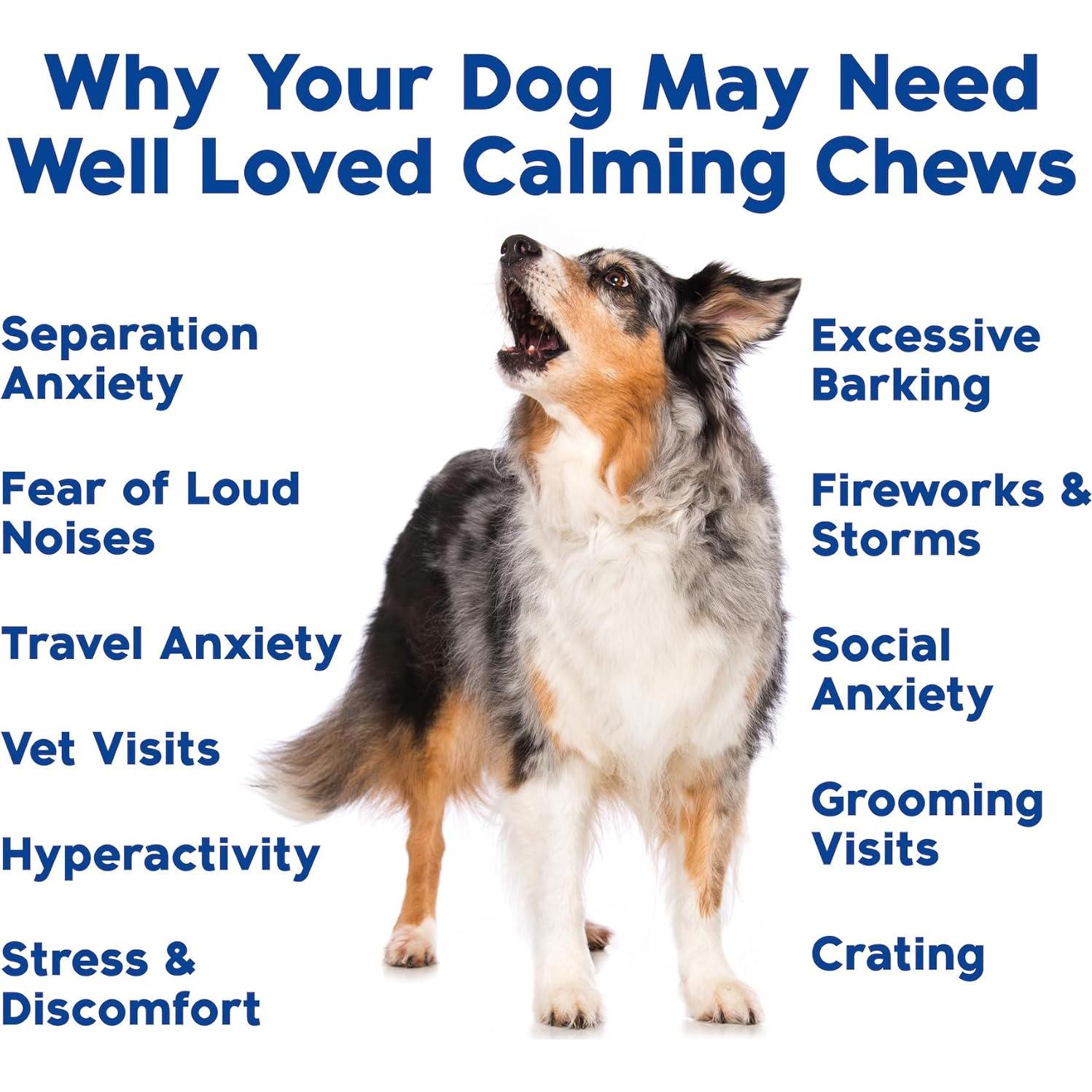 Masticables Calmantes para Perros Bien Queridos - 90 Unidades