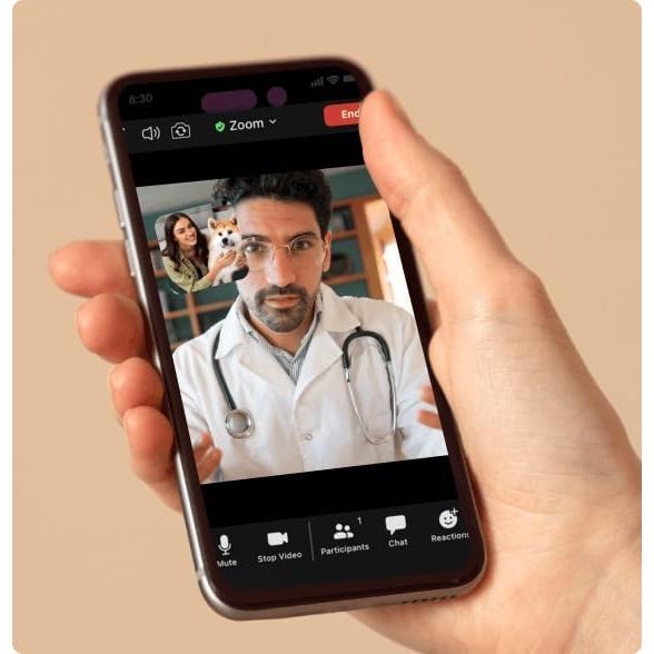 Consulta Veterinaria Virtual TelaVets - $65 por Visita