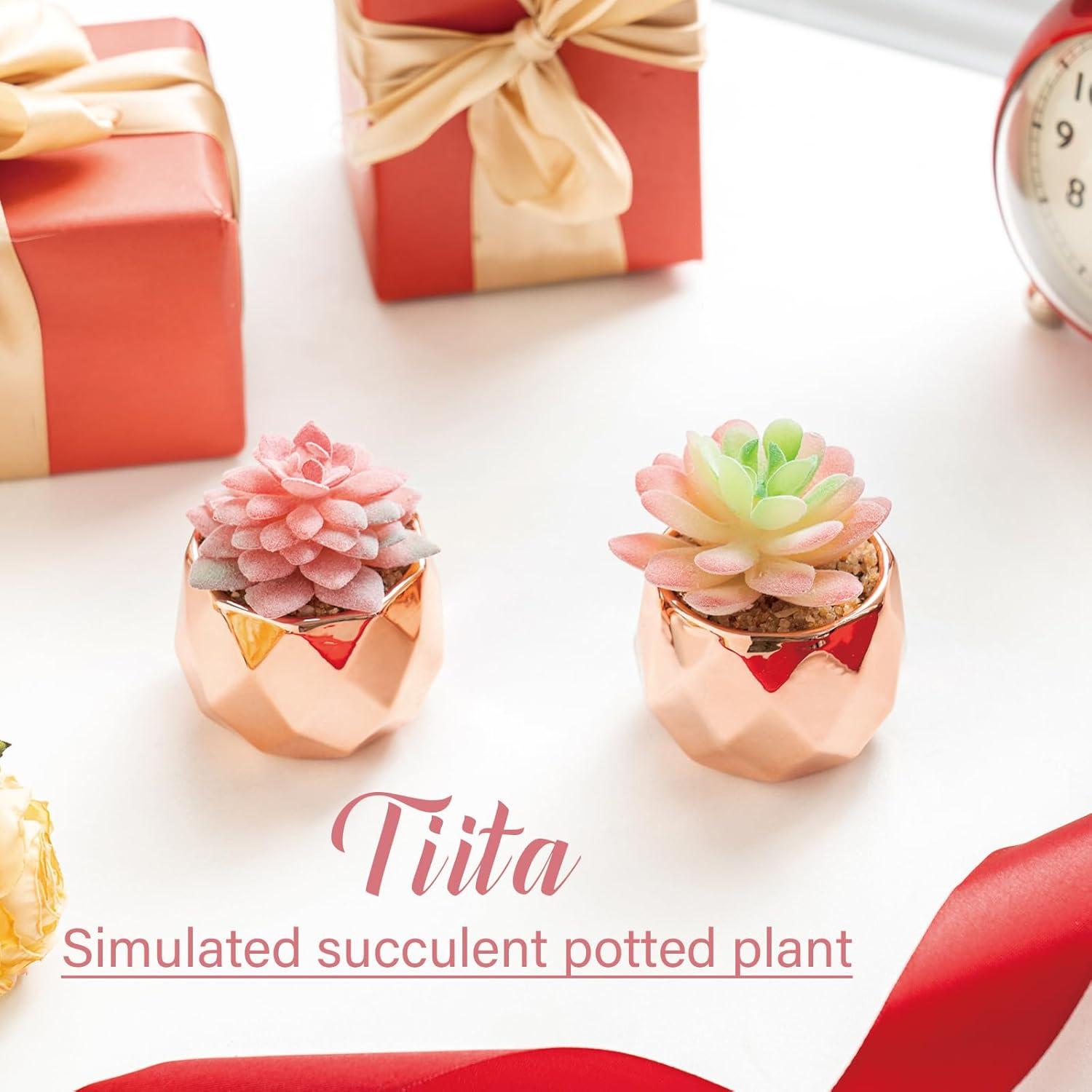 Suculentas Artificiales Tiita 4 Pack en Macetas Cerámicas Doradas