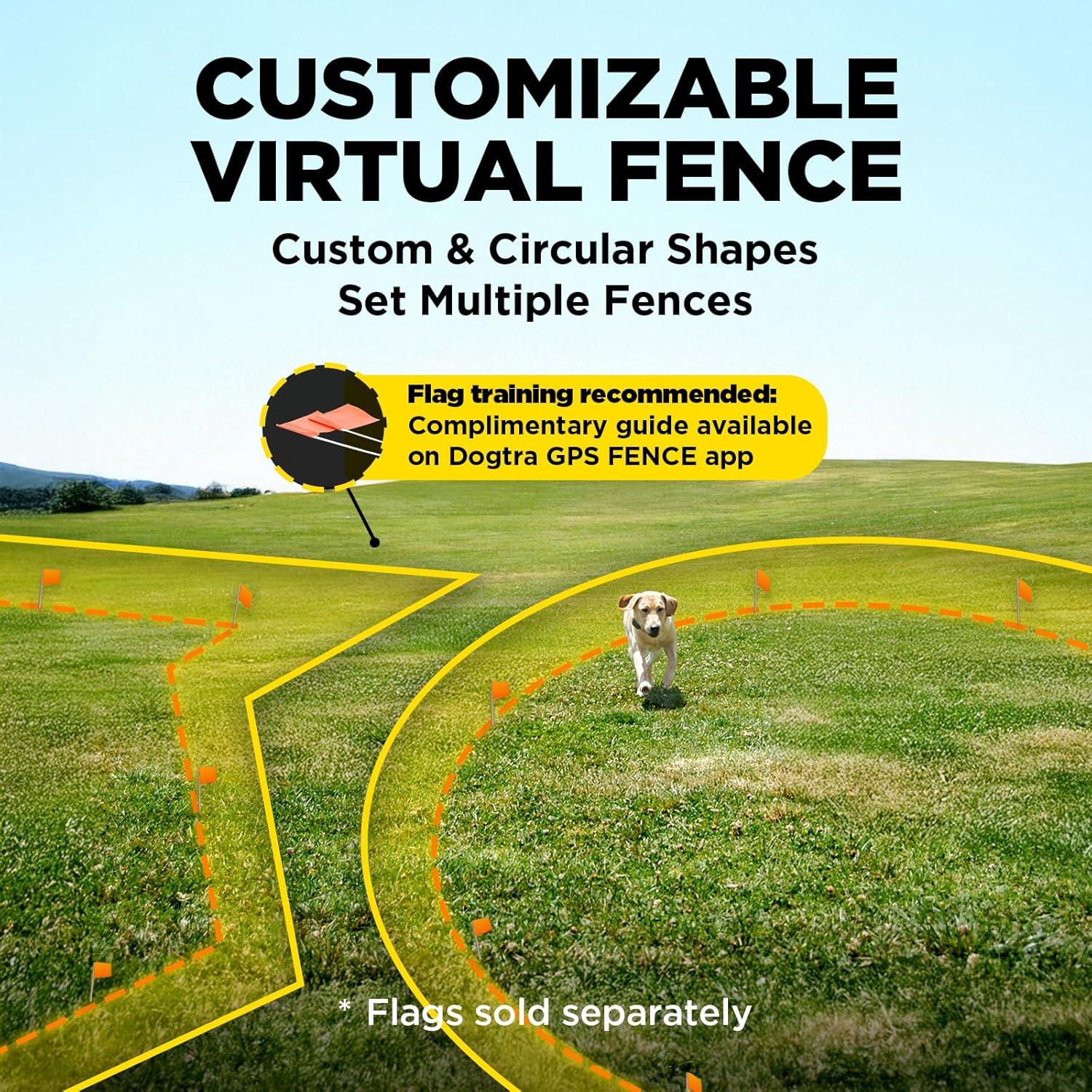 Banderas de Entrenamiento Dogtra para Cerca GPS - 50 Unidades Naranja